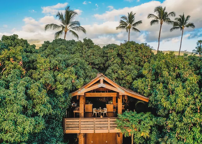 Hotel Wailea Maui (Adults Only)
